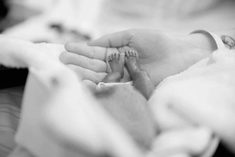 Wir spenden für Sternenkinder